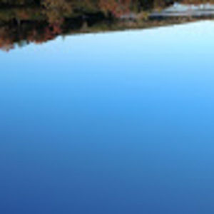 Meet your Posher, Leonardo